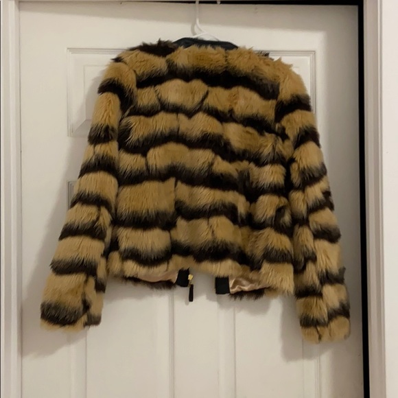 Jacket - Picture 3 of 3